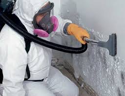 Professional Mold Removal & Remediation in Lake Arrowhead, CA